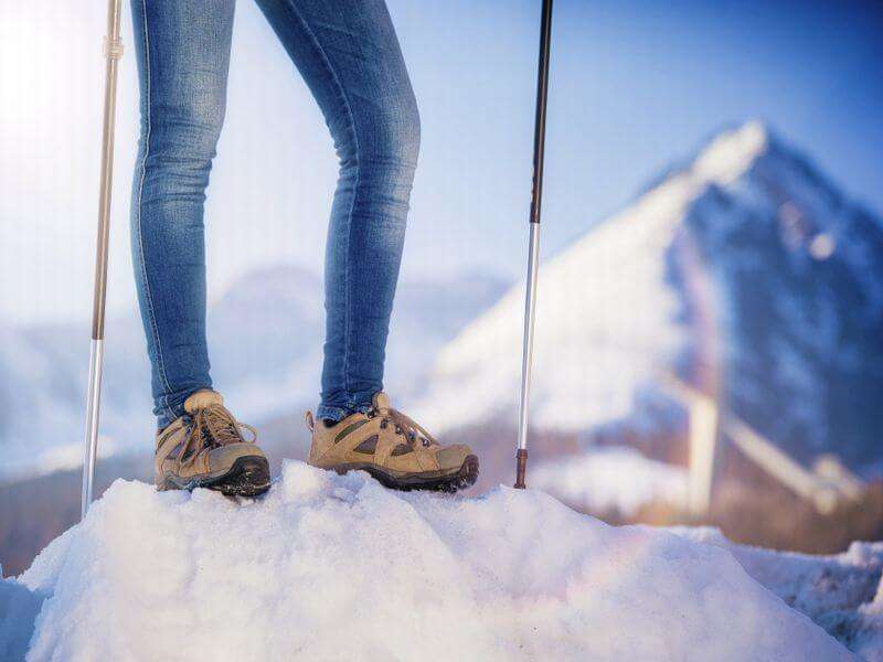 Nordic Cruising