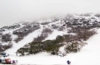 Skifahren in Australien